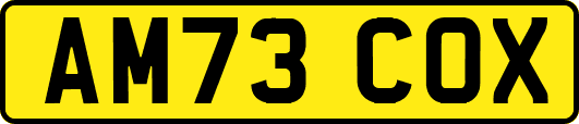 AM73COX