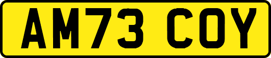 AM73COY
