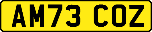 AM73COZ