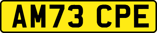 AM73CPE