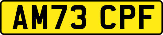 AM73CPF