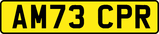 AM73CPR