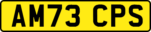 AM73CPS