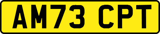 AM73CPT
