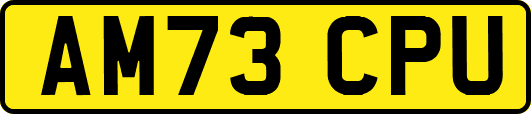 AM73CPU