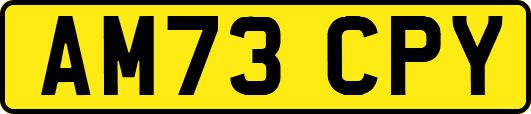 AM73CPY