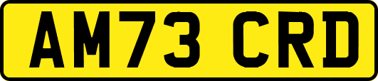 AM73CRD