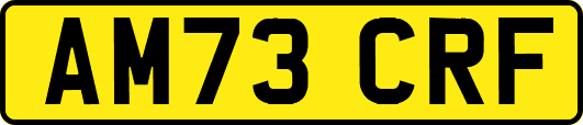 AM73CRF