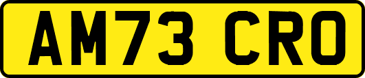 AM73CRO