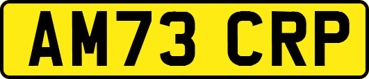 AM73CRP
