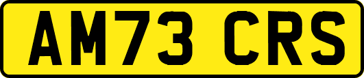 AM73CRS