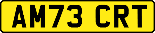 AM73CRT