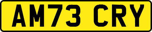 AM73CRY