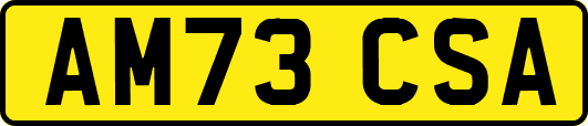 AM73CSA