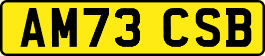 AM73CSB