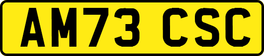AM73CSC