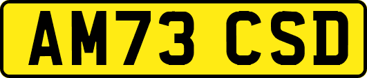 AM73CSD