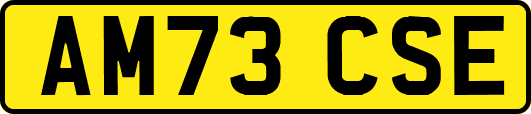 AM73CSE