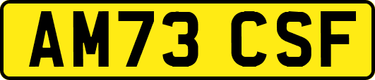 AM73CSF