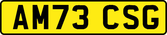 AM73CSG