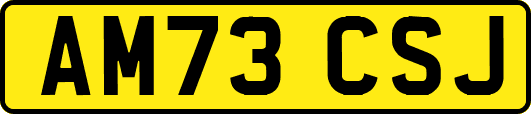 AM73CSJ