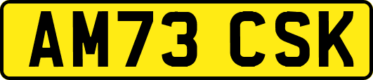 AM73CSK