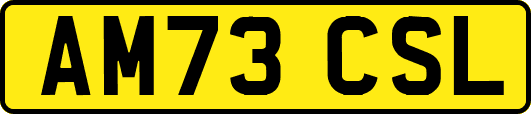 AM73CSL
