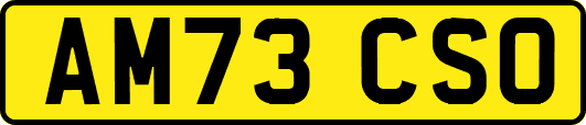 AM73CSO