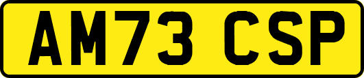 AM73CSP