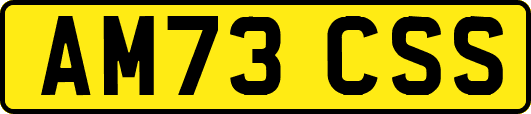 AM73CSS