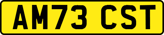 AM73CST