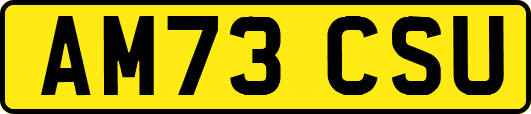 AM73CSU
