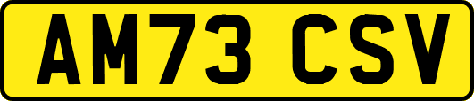 AM73CSV