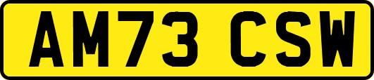 AM73CSW