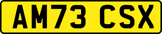 AM73CSX