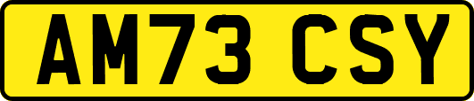 AM73CSY