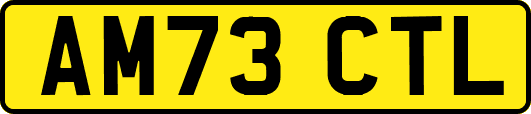 AM73CTL
