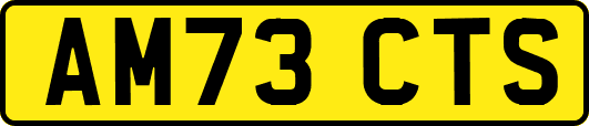 AM73CTS