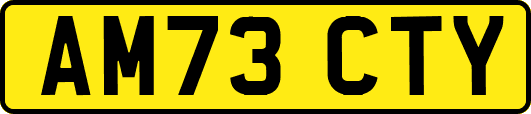 AM73CTY