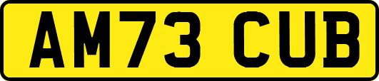 AM73CUB