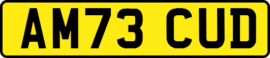 AM73CUD