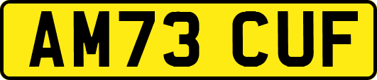 AM73CUF