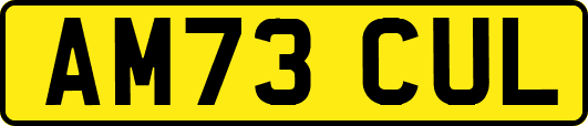 AM73CUL