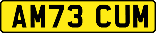 AM73CUM