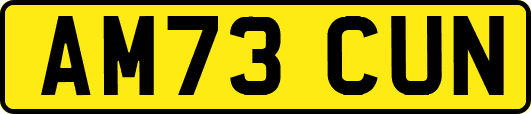 AM73CUN