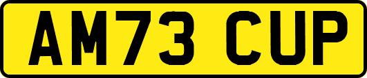 AM73CUP