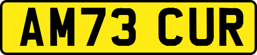 AM73CUR