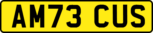 AM73CUS