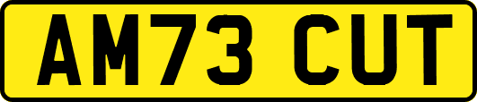AM73CUT
