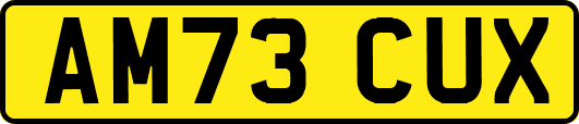 AM73CUX